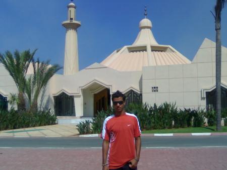 zwin safi